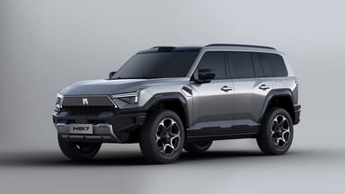 Dongfeng M-Hero 817