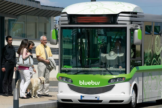 bluebus