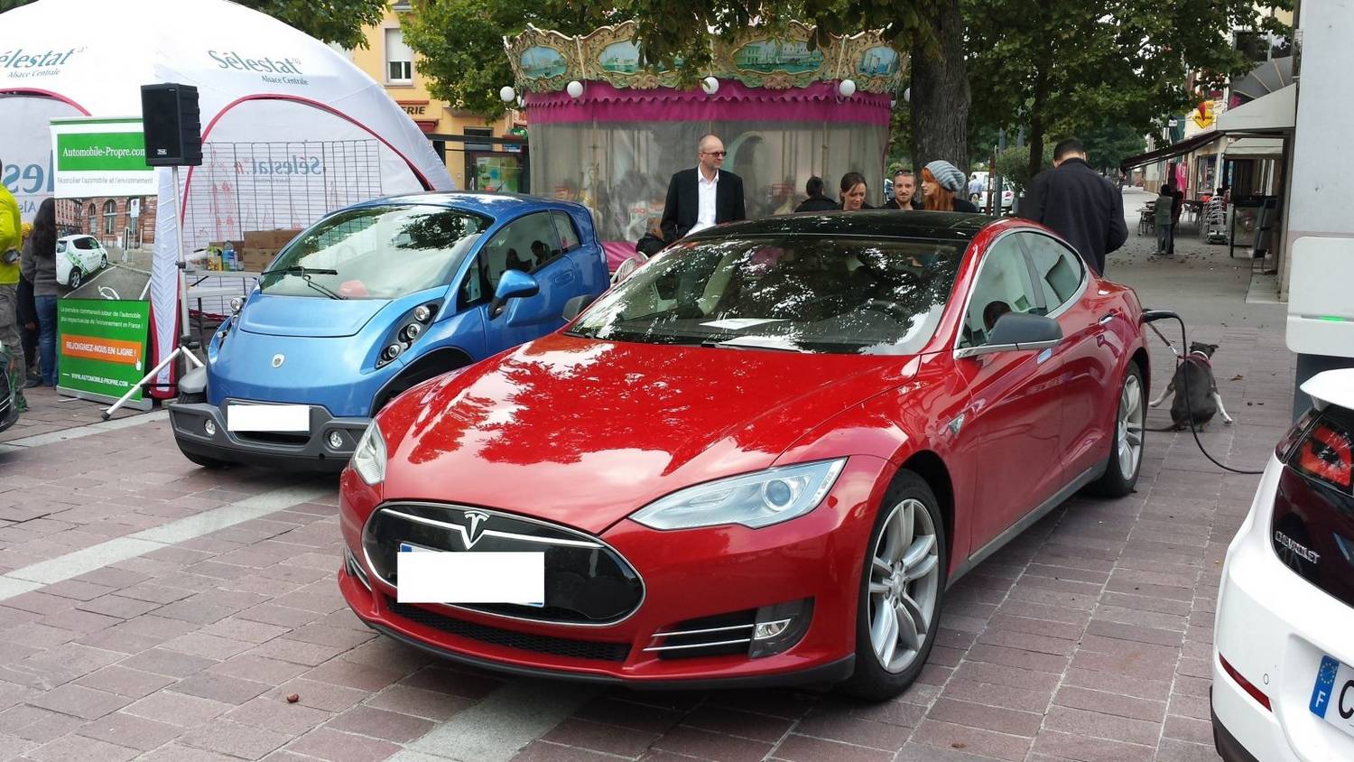 tms-romain-20140913_142224