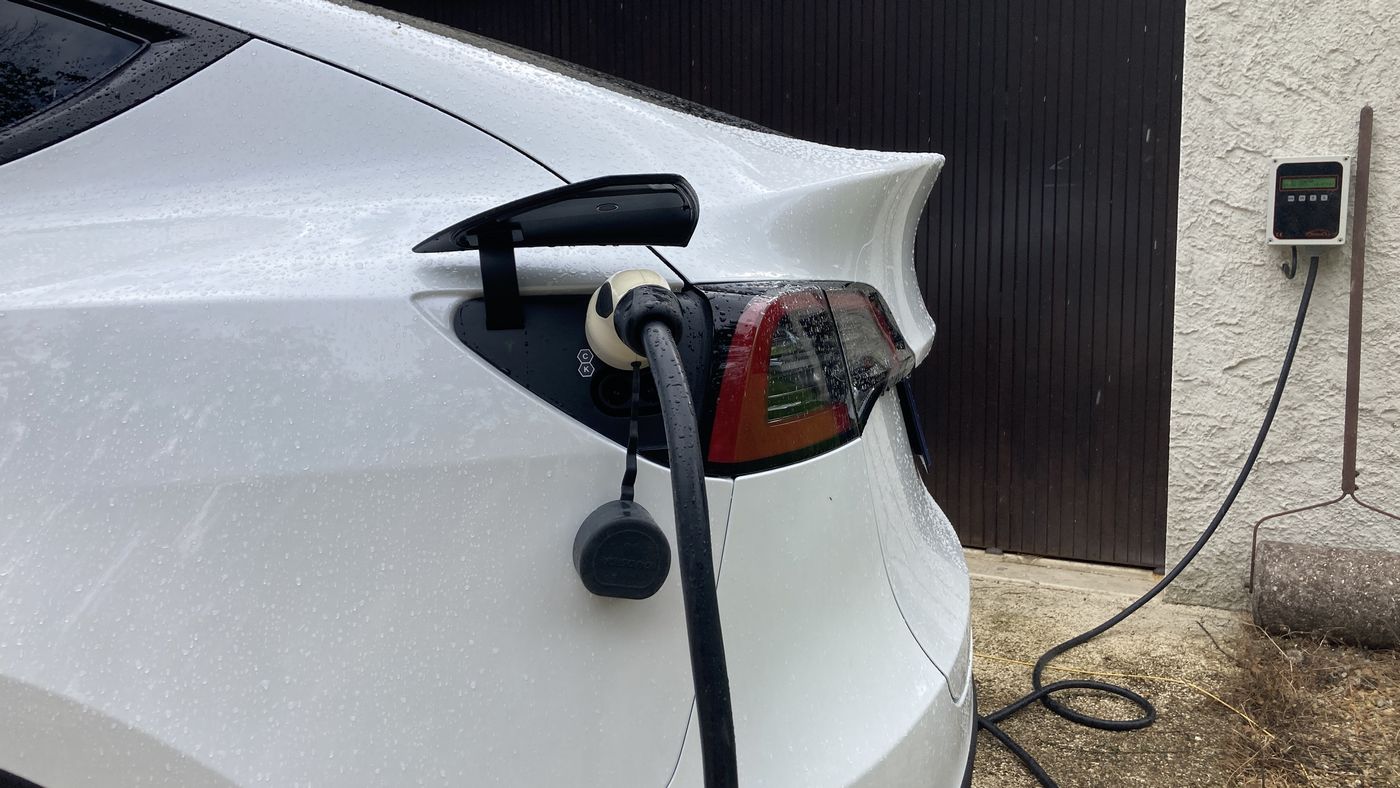 tmy-avis-damien-0011