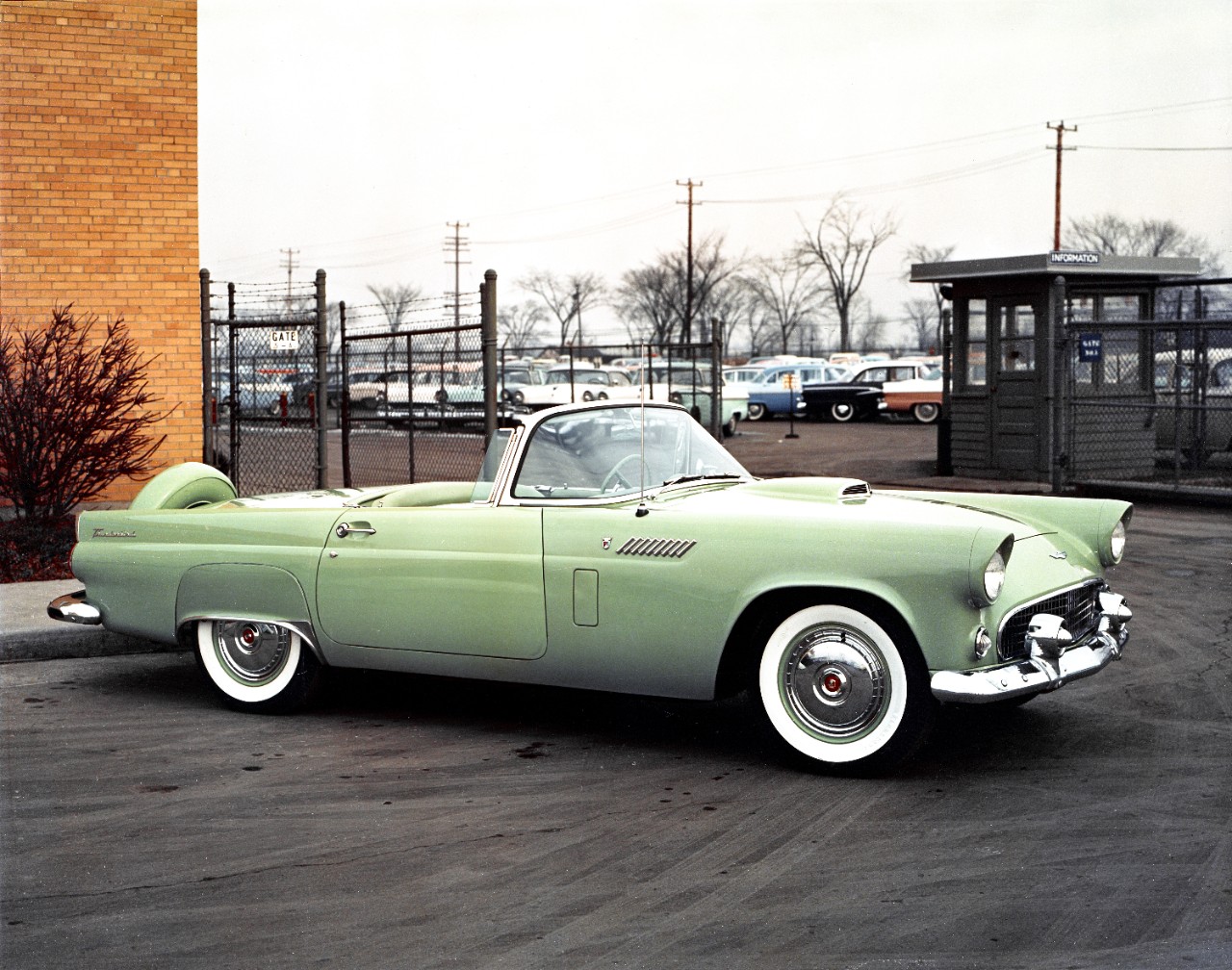 Ford Thunderbird 1956