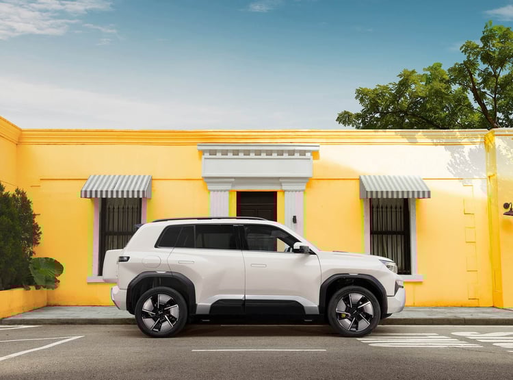 BYD Fang Chegn Bao Bao 3