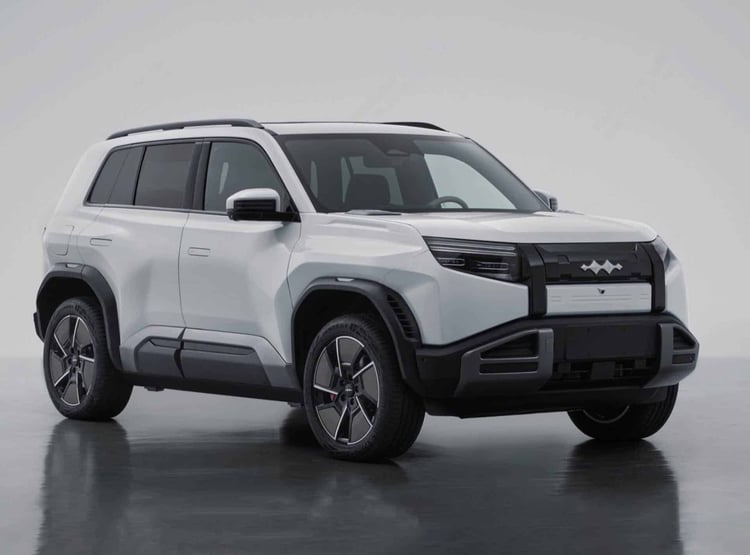 BYD Fang Chegn Bao Bao 3