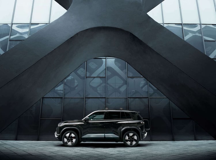 BYD Fang Chegn Bao Bao 3