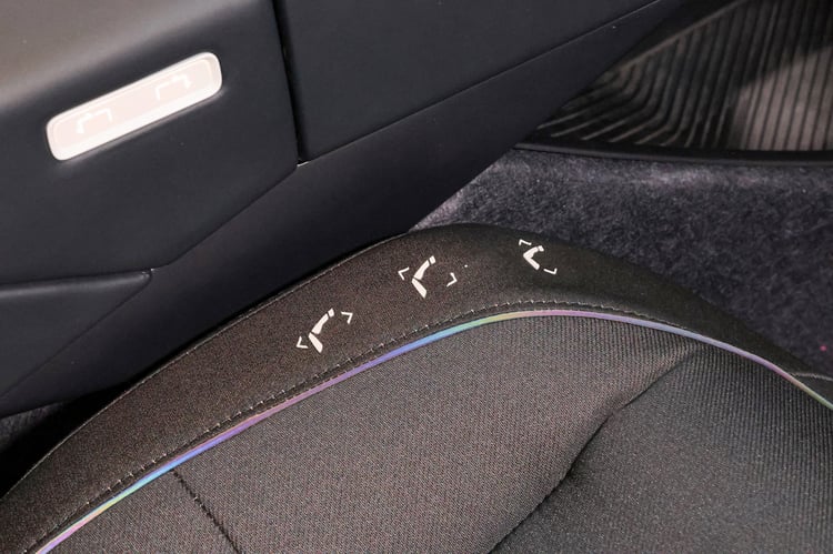 Détails de la Renault Emblème