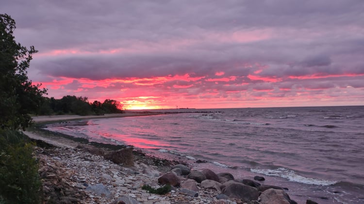 Coucher de soleil rose et violet sur une plage de galets au bord de la mer Baltique en Estonie