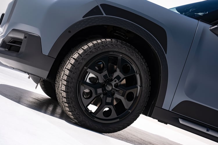 Mini Countryman Untamed