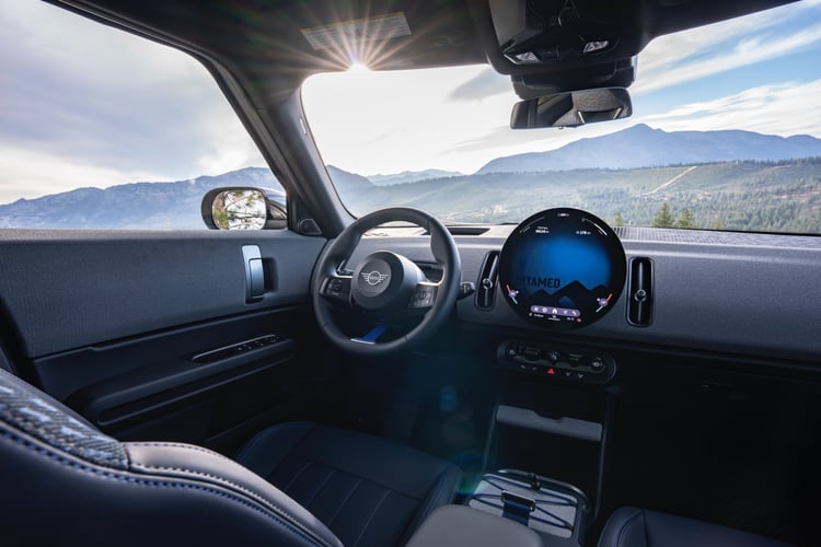 Mini Countryman Untamed