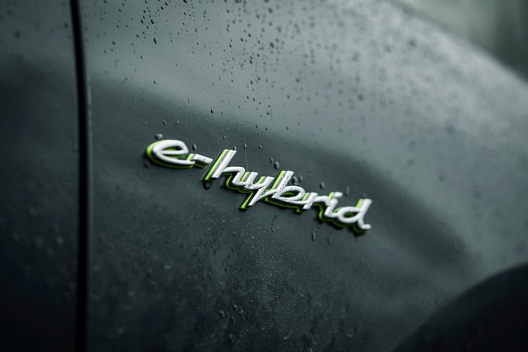 Logo du Porsche Cayenne E-Hybrid