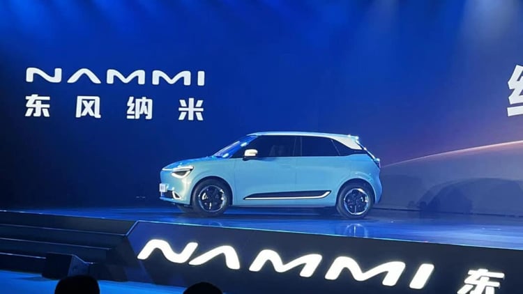 Dongfeng Nammi 01