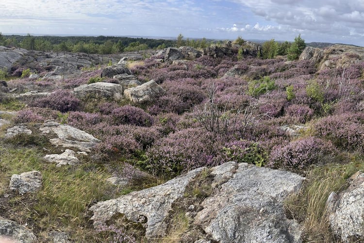 Le roadtrip de David en Norvège