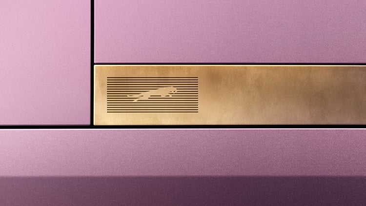 JAGUAR_TYPE00_LEAPERONINGOT_021224
