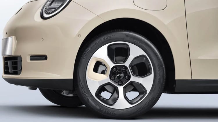 Jante et pneu de la JAC E30X en détail