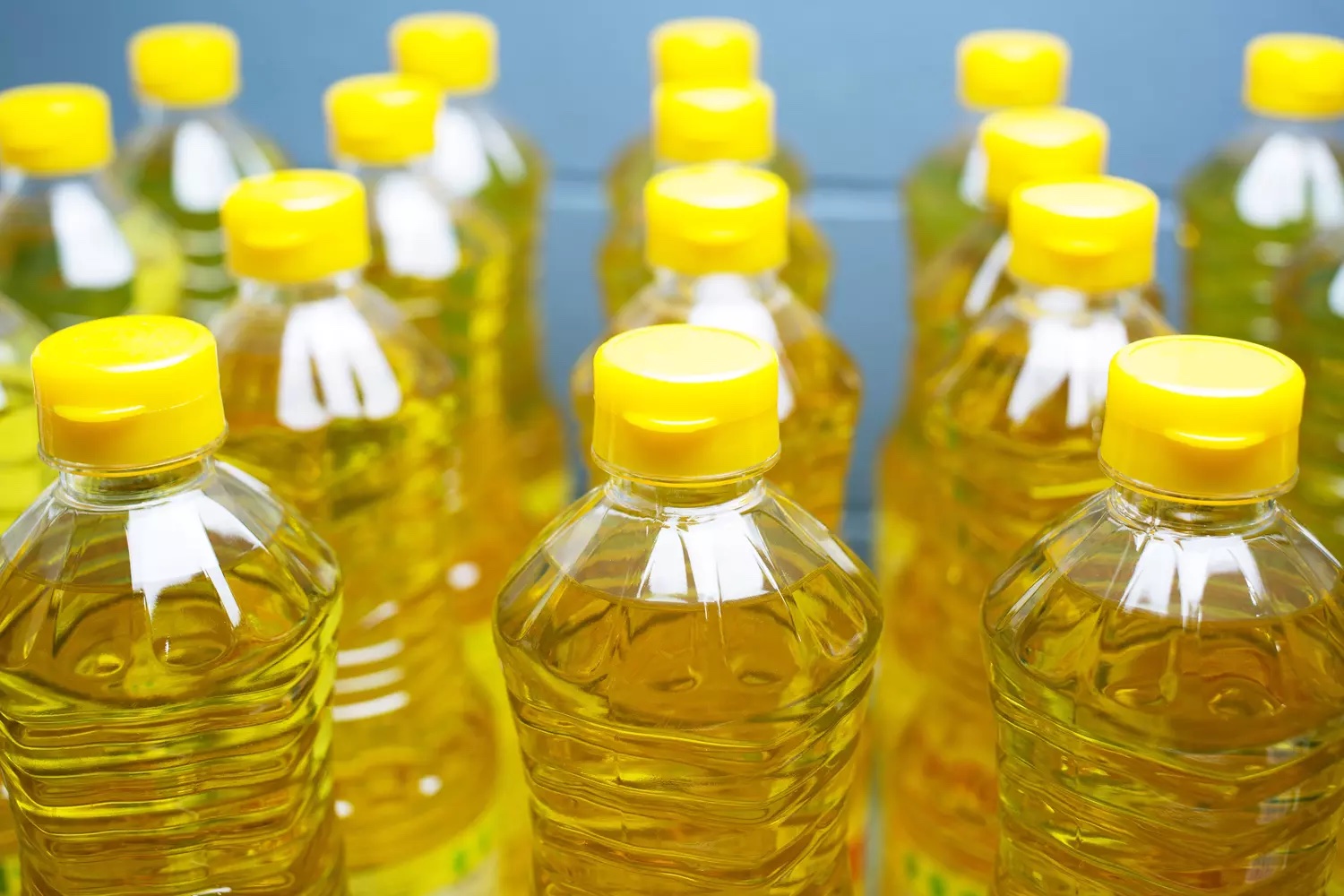 Biocarburants : rouler à l'huile de friture restera finalement interdit