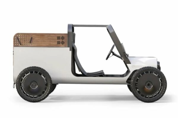 Voiture électrique, la fabrique du délire
