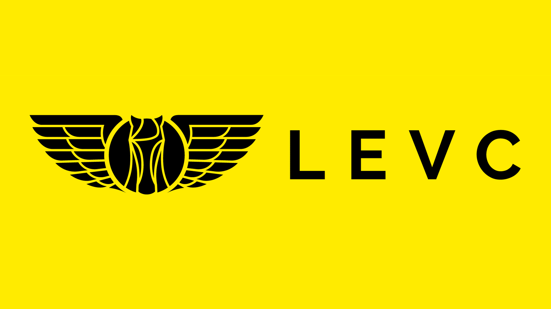 Voitures LEVC (London EV Company)