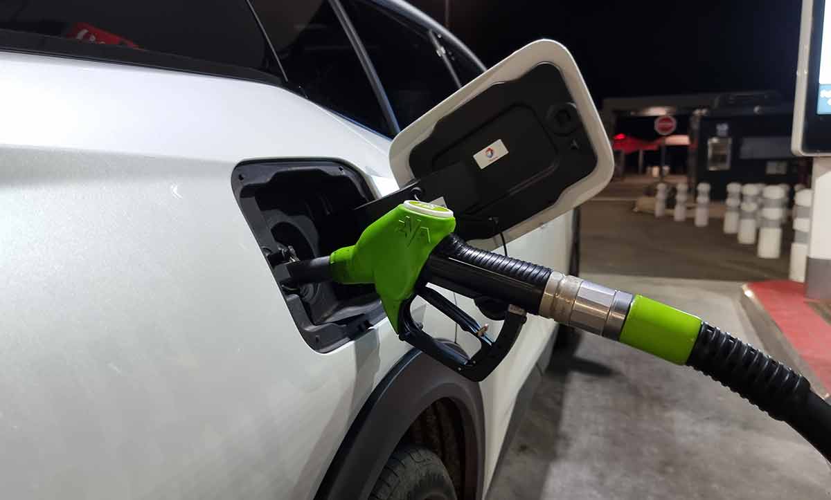 120 cochons par véhicule : T&E alerte sur l’“absurdité écologique” des biocarburants après 2035